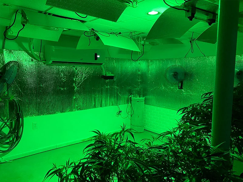 grow room